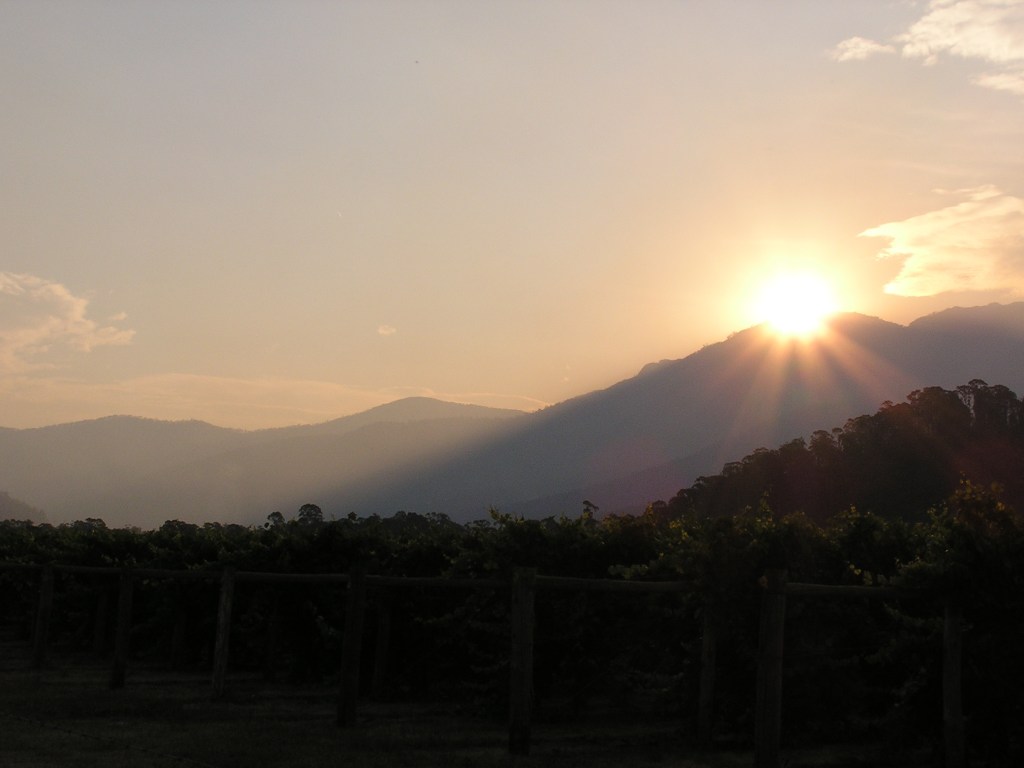 What Is It We&nbsp;Celebrate?