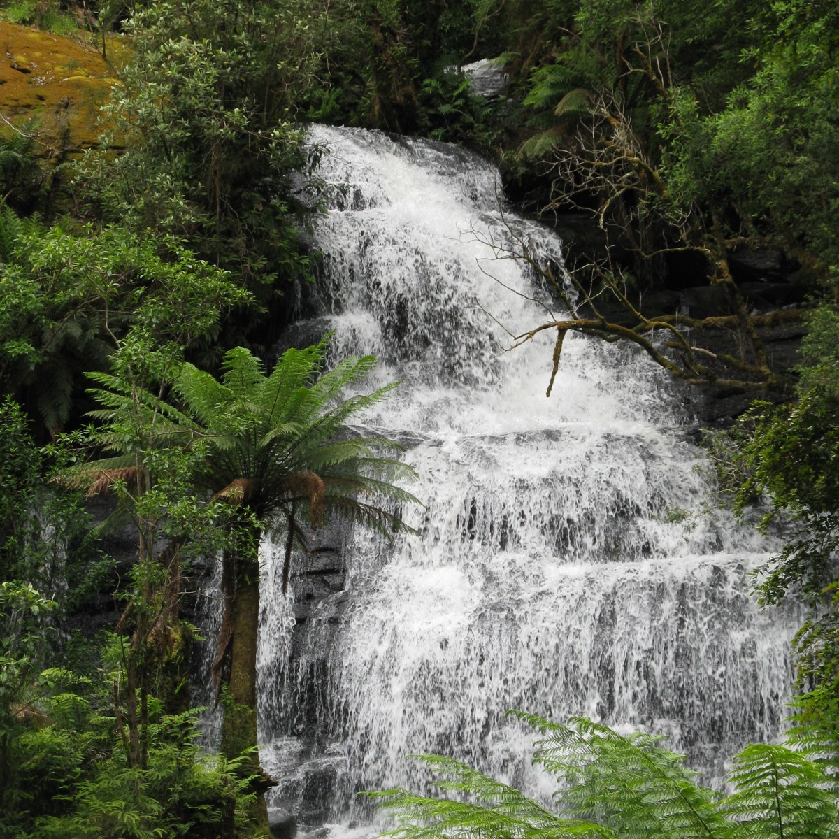 Out Of The&nbsp;Darkness