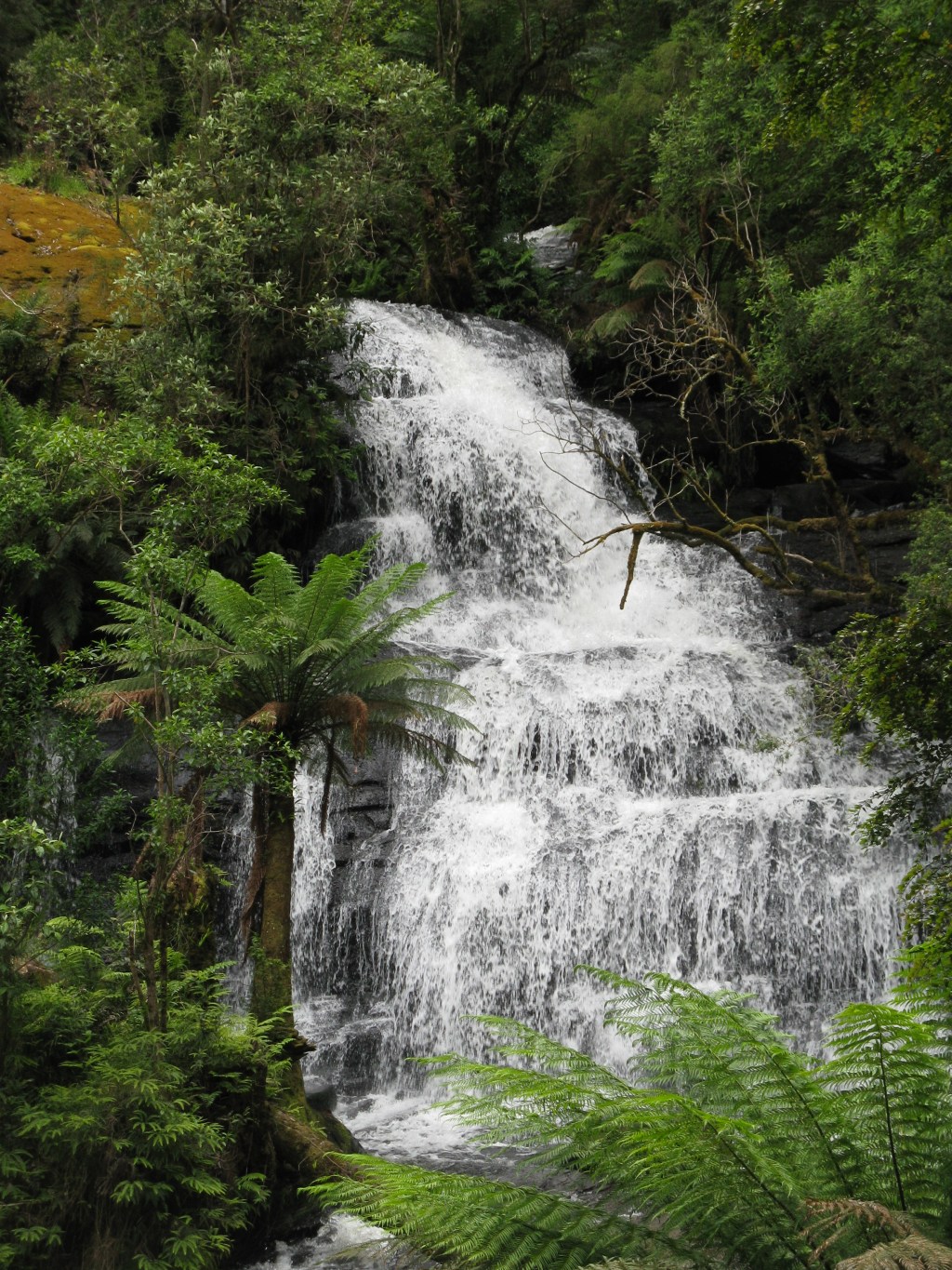 Out Of The&nbsp;Darkness