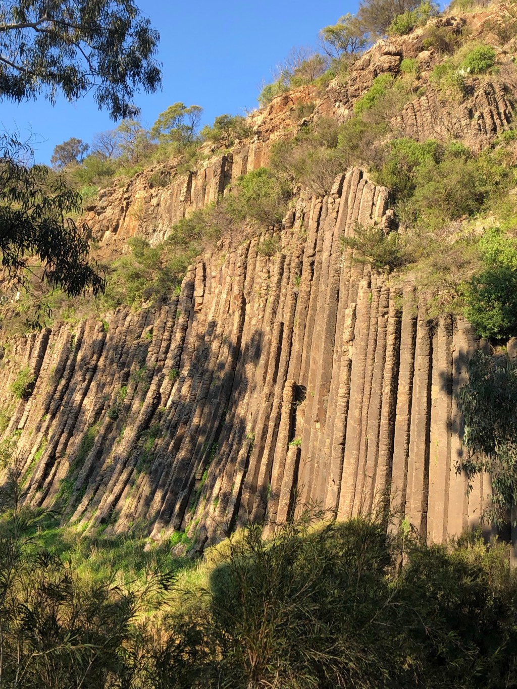 Never Mind “Shoulds”