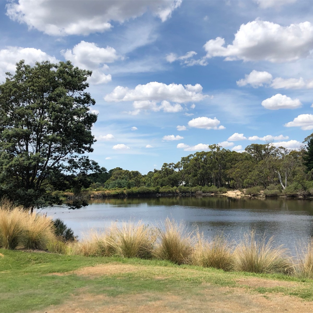 Wondering If You’re&nbsp;Breathing