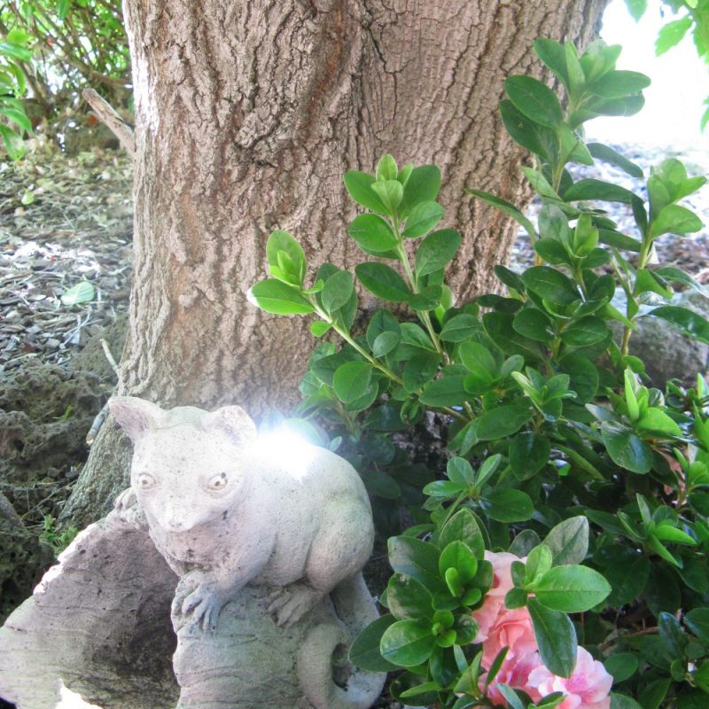 You Can’t Go&nbsp;Back