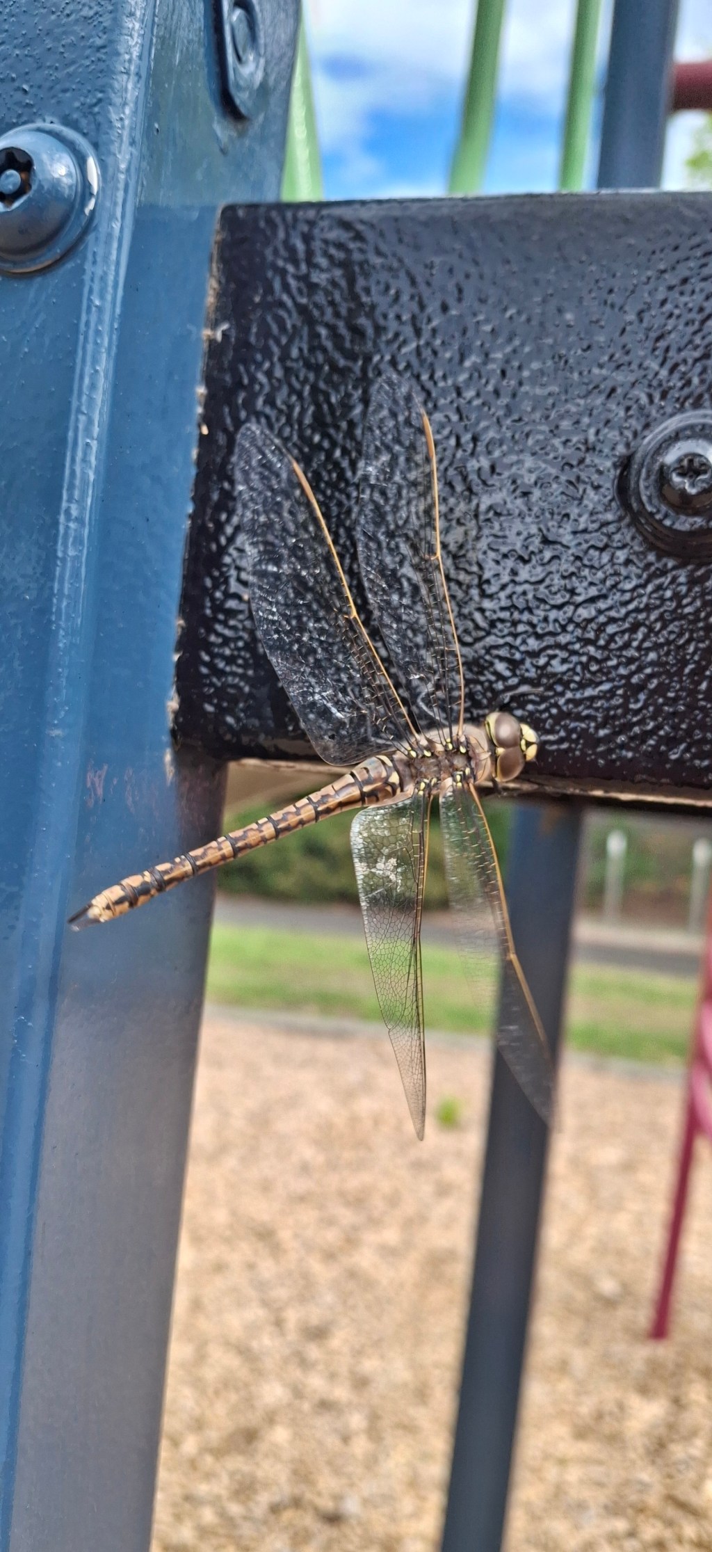 It’s Not Your&nbsp;Song